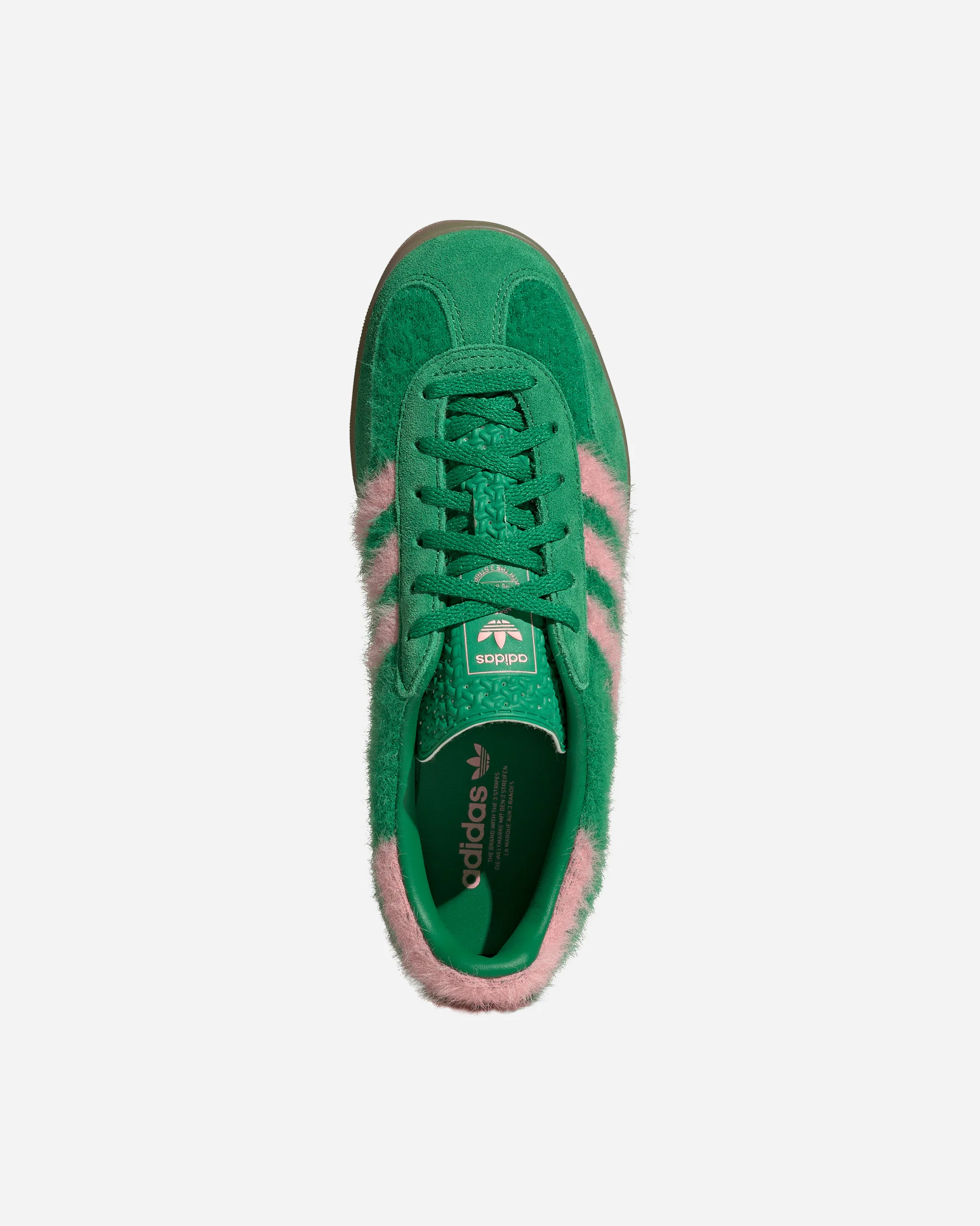 Gazelle Indoor - Image 4
