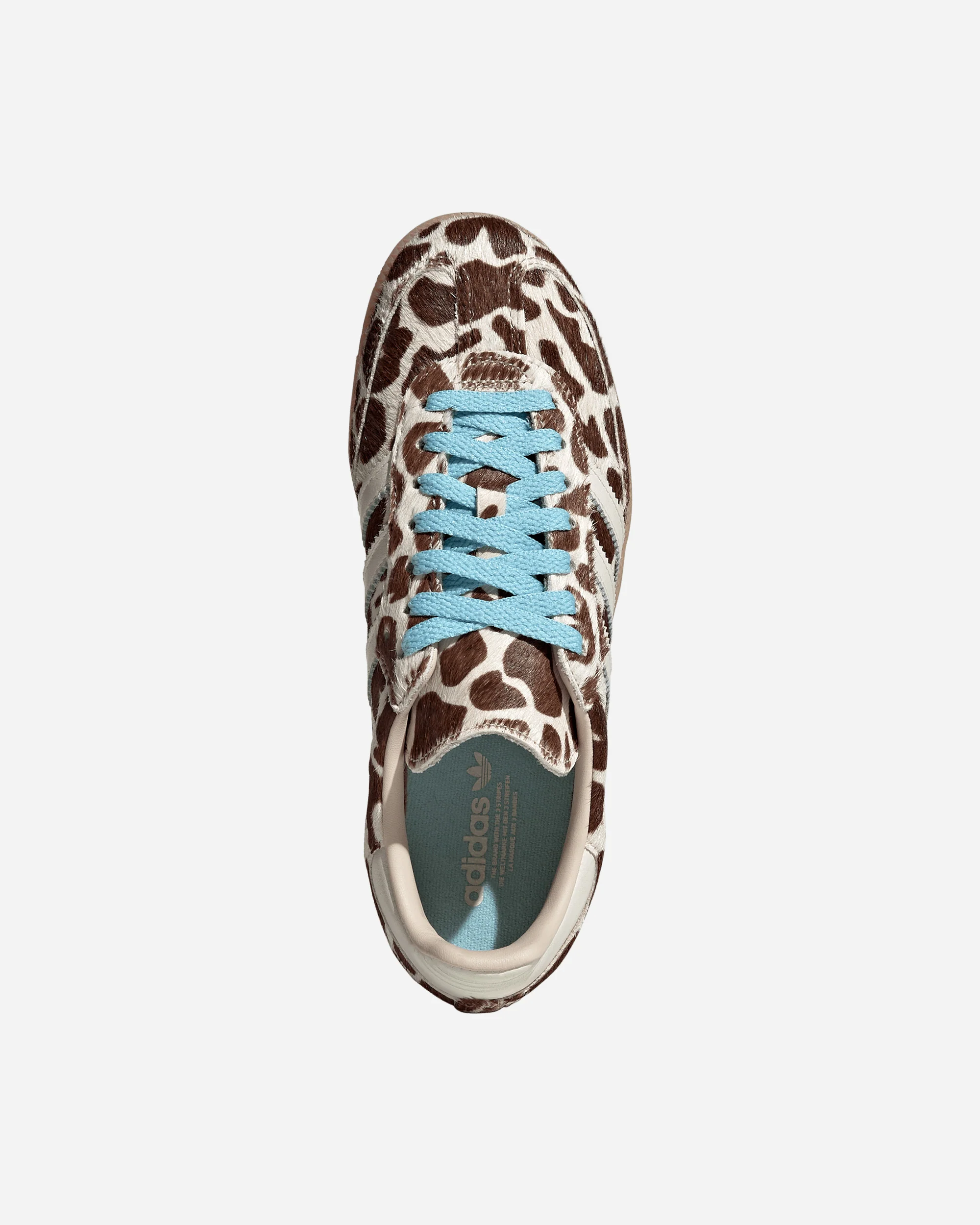 Samba OG - Image 4