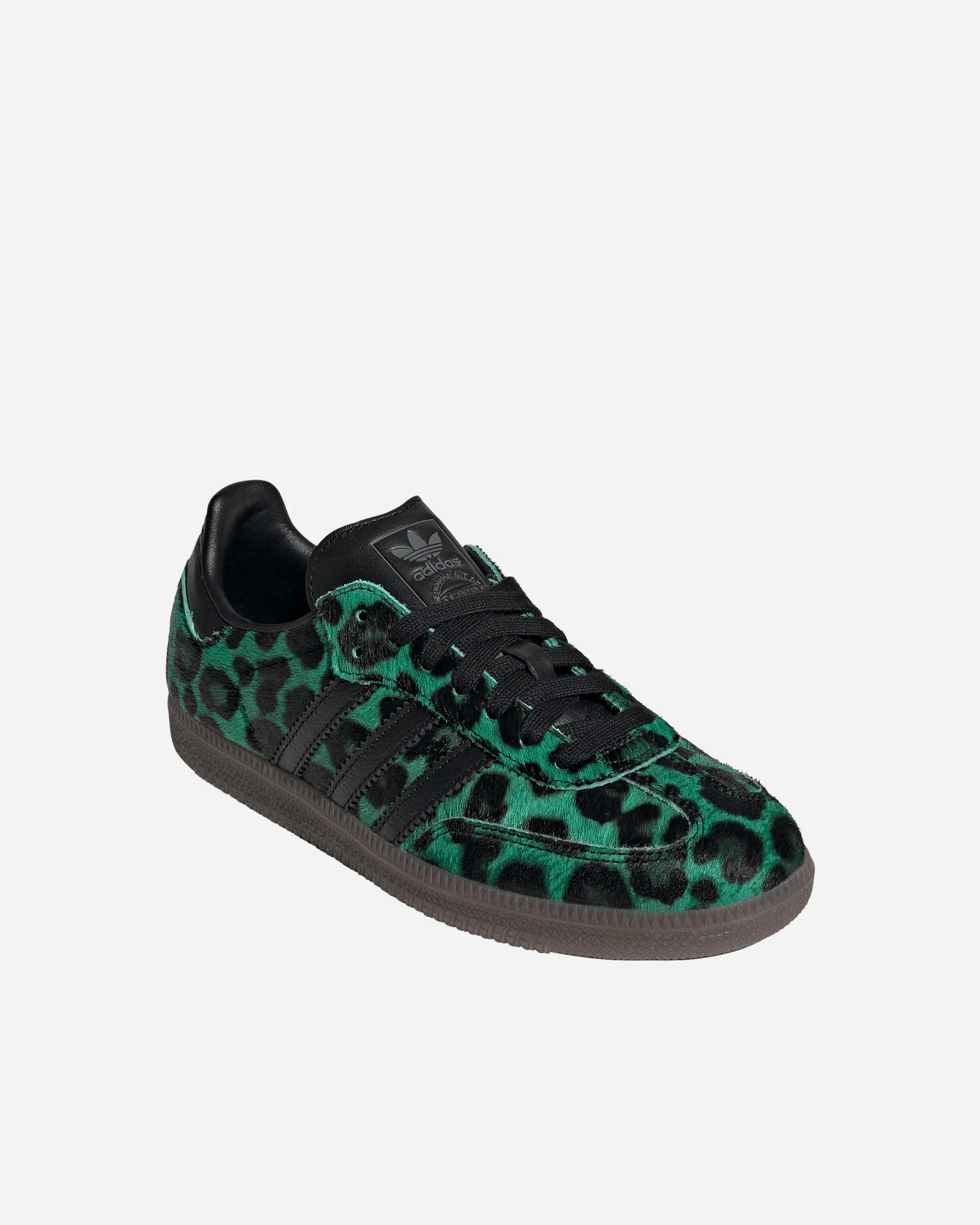 Samba OG - Image 2