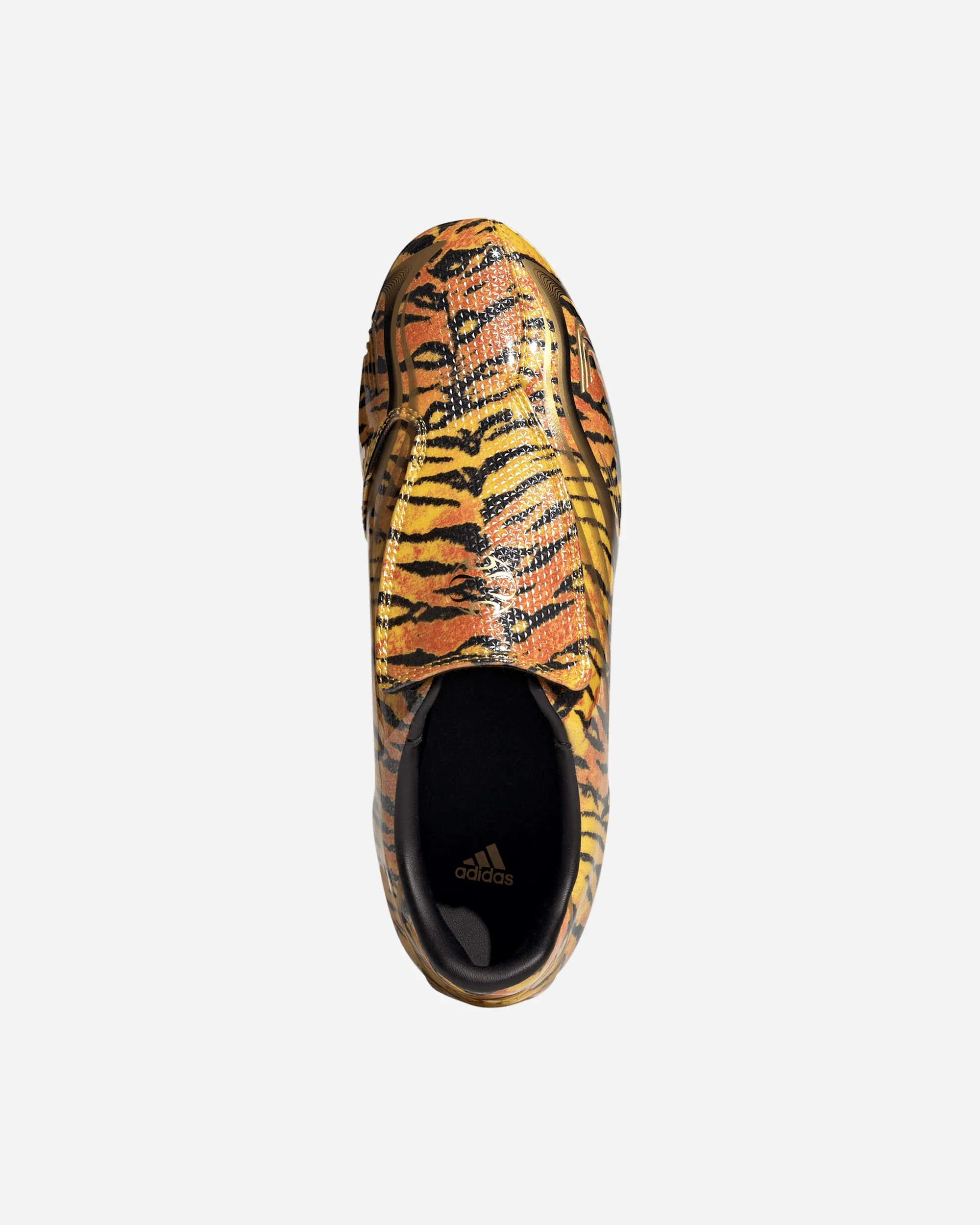 Taekwondo F50 - Image 4