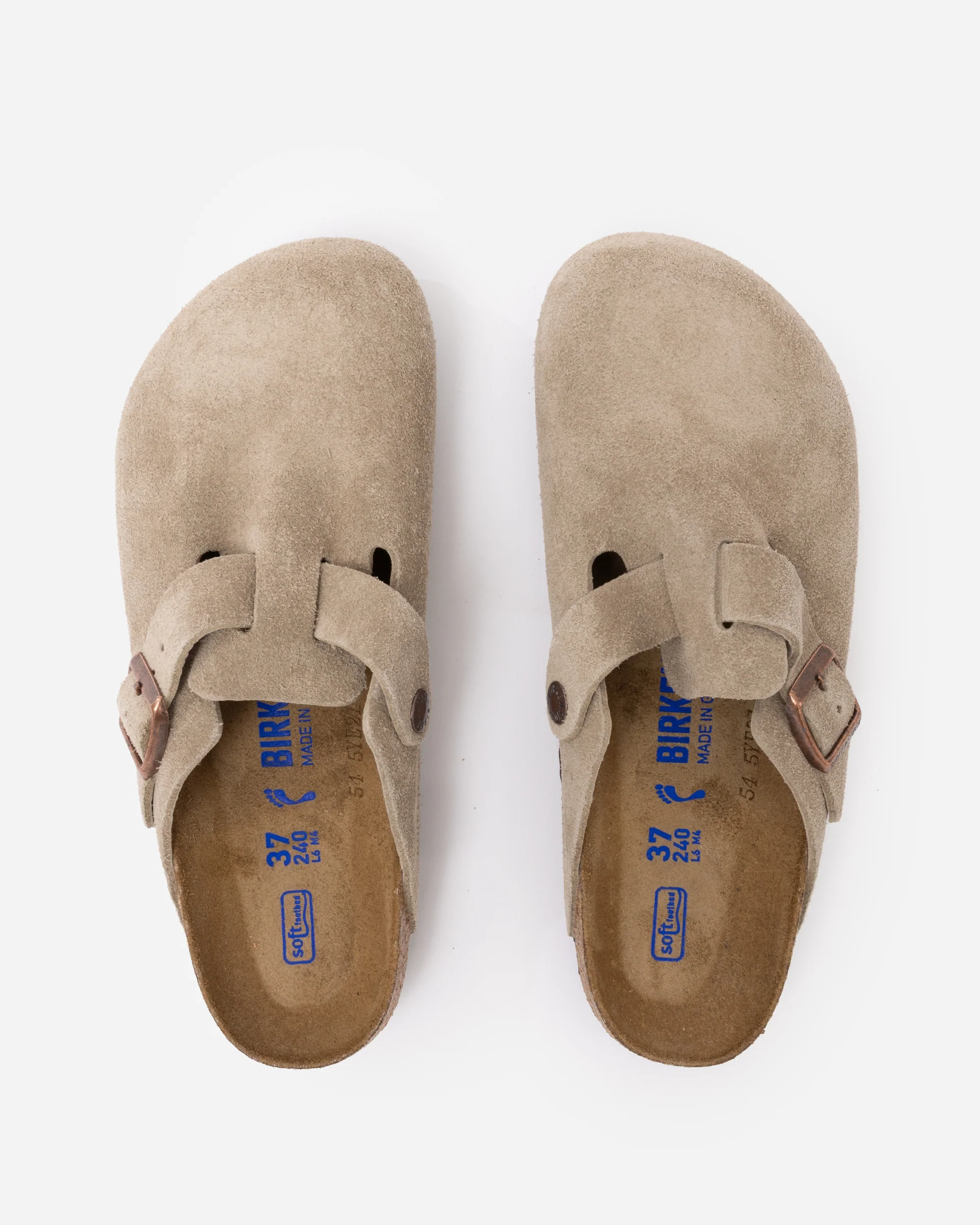Boston SFB LEVE - Image 4