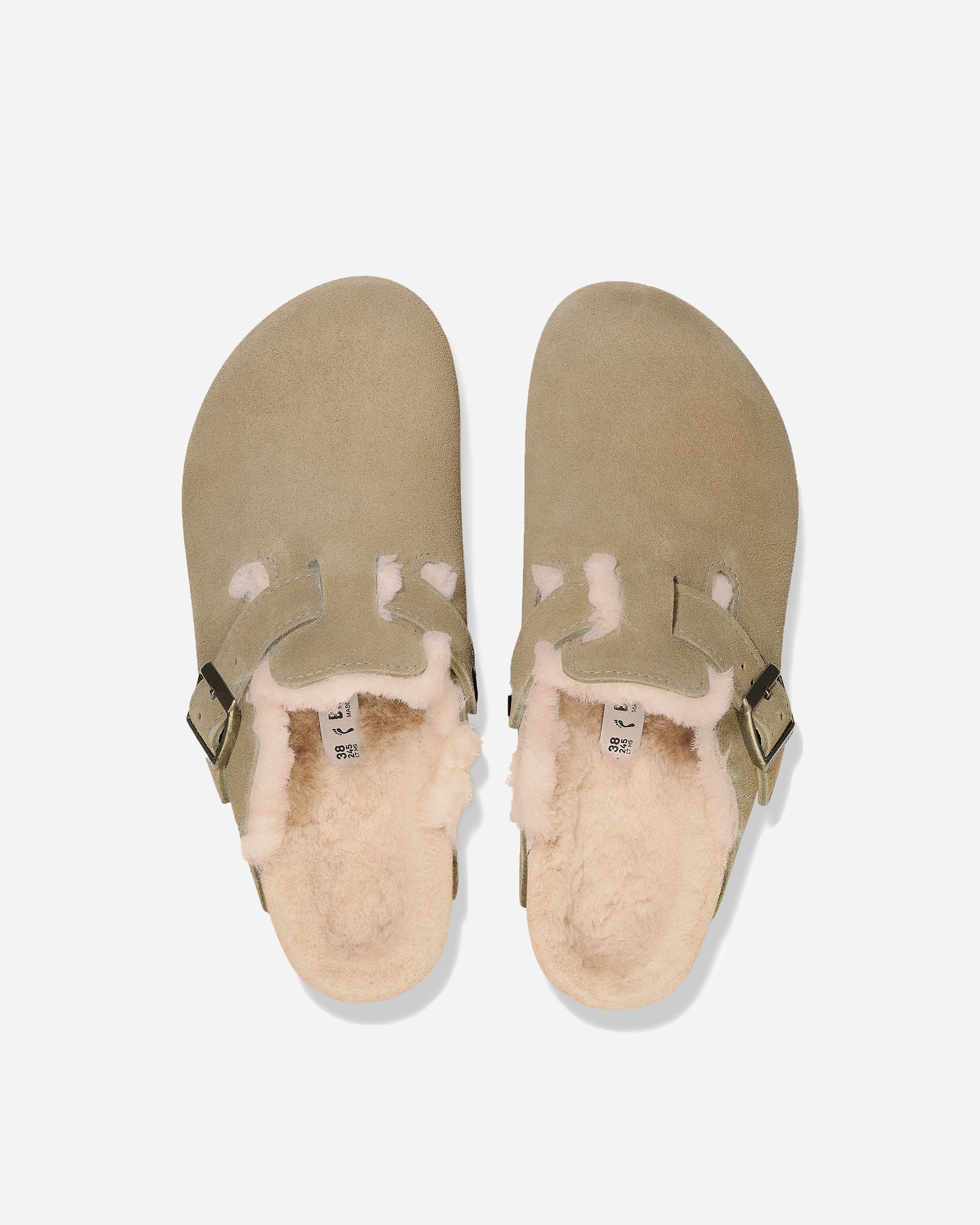 Boston Shearling - Image 3