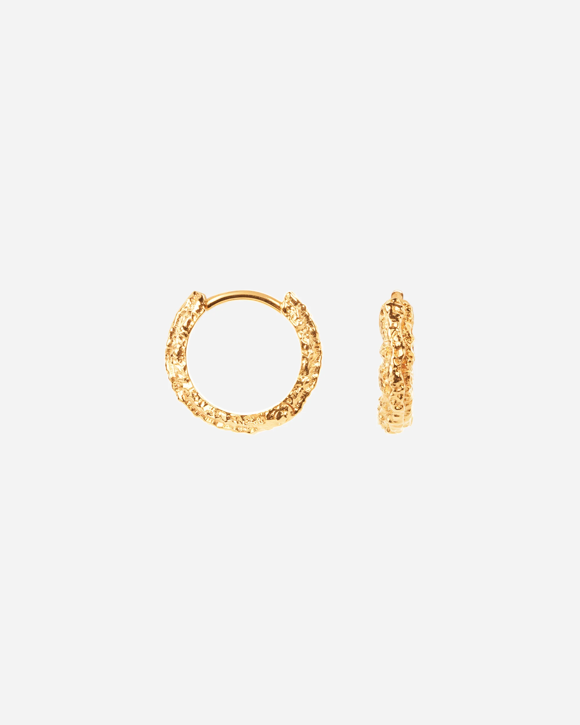 Small Sparkly Hoops
