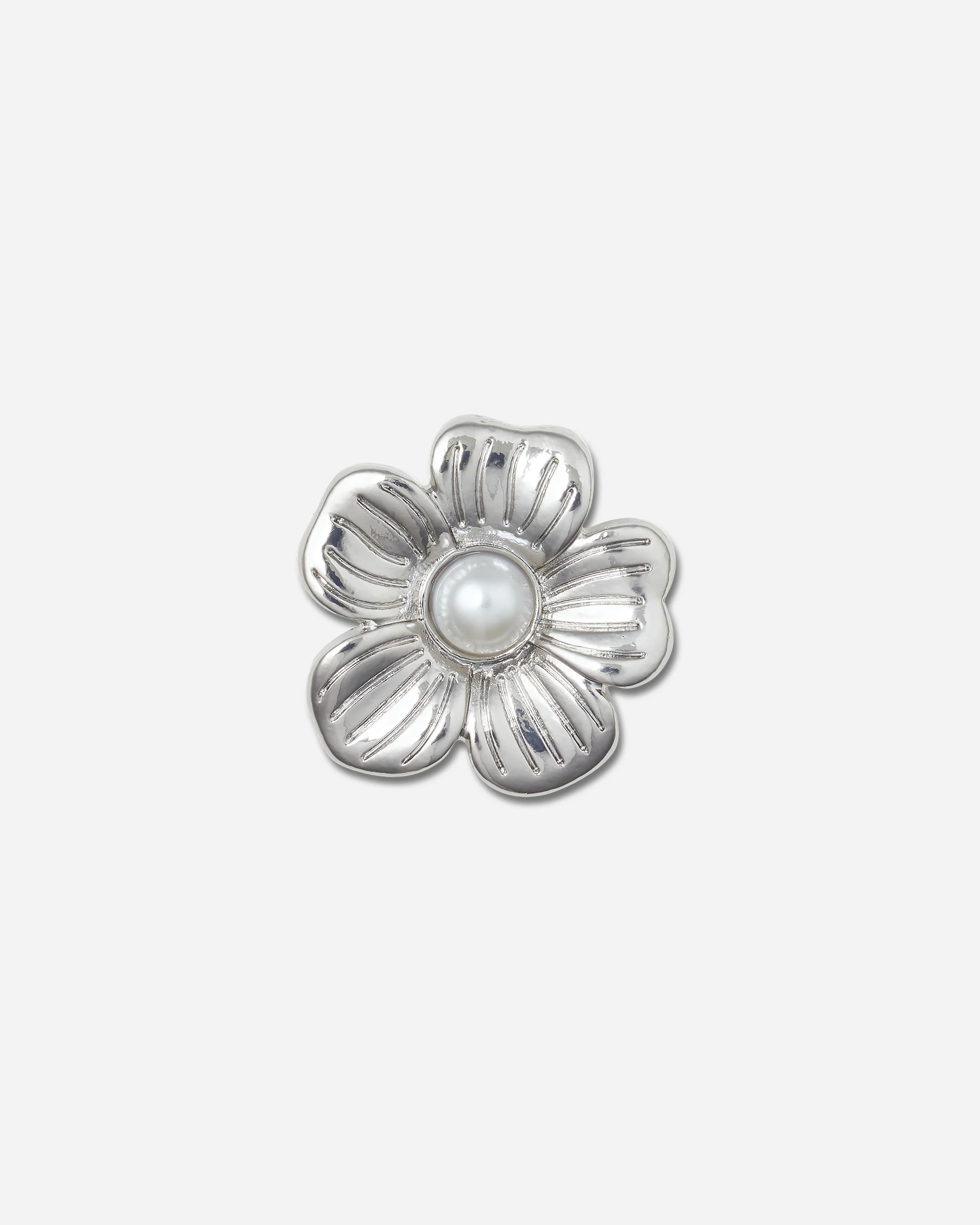 Silver Mnchrm Daisy 2